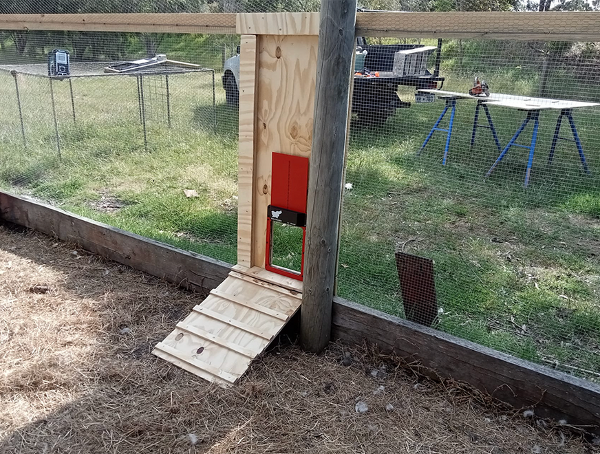 Custom-built small timber ramp constructed for backyard enclosure in Albany WA.